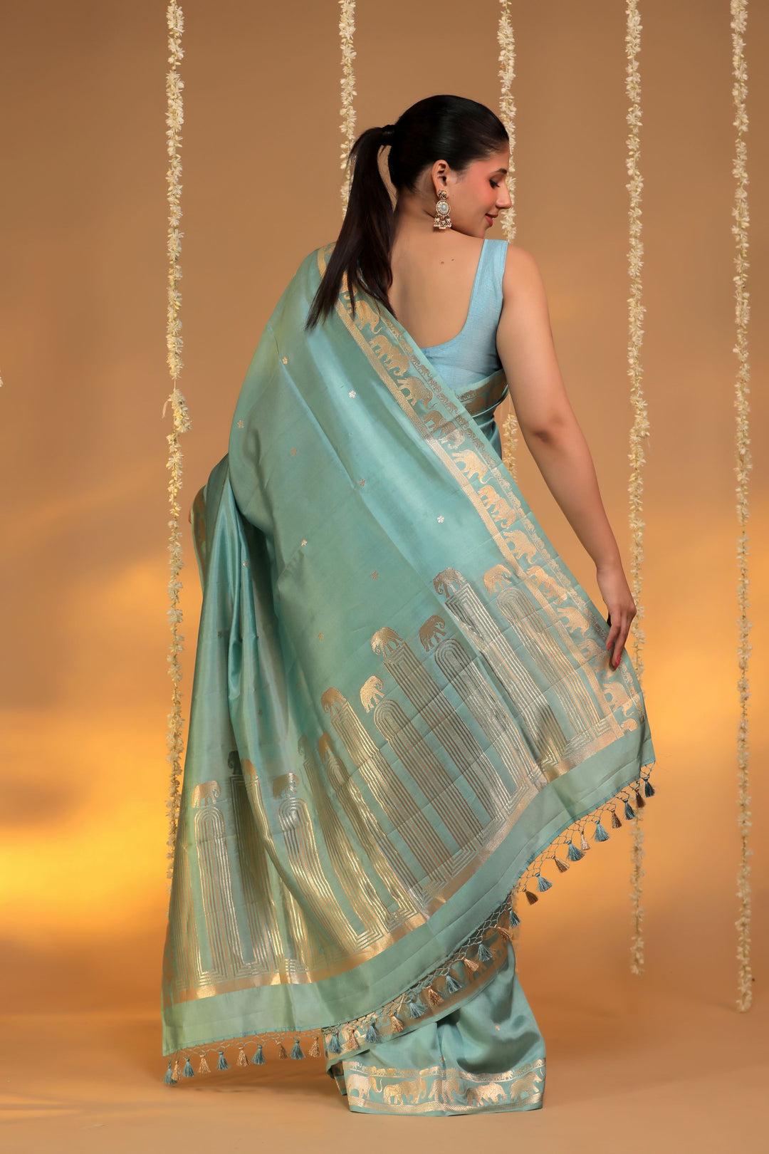 handwoven pastel green banarasi pure mashru silk elephant motif saree back view