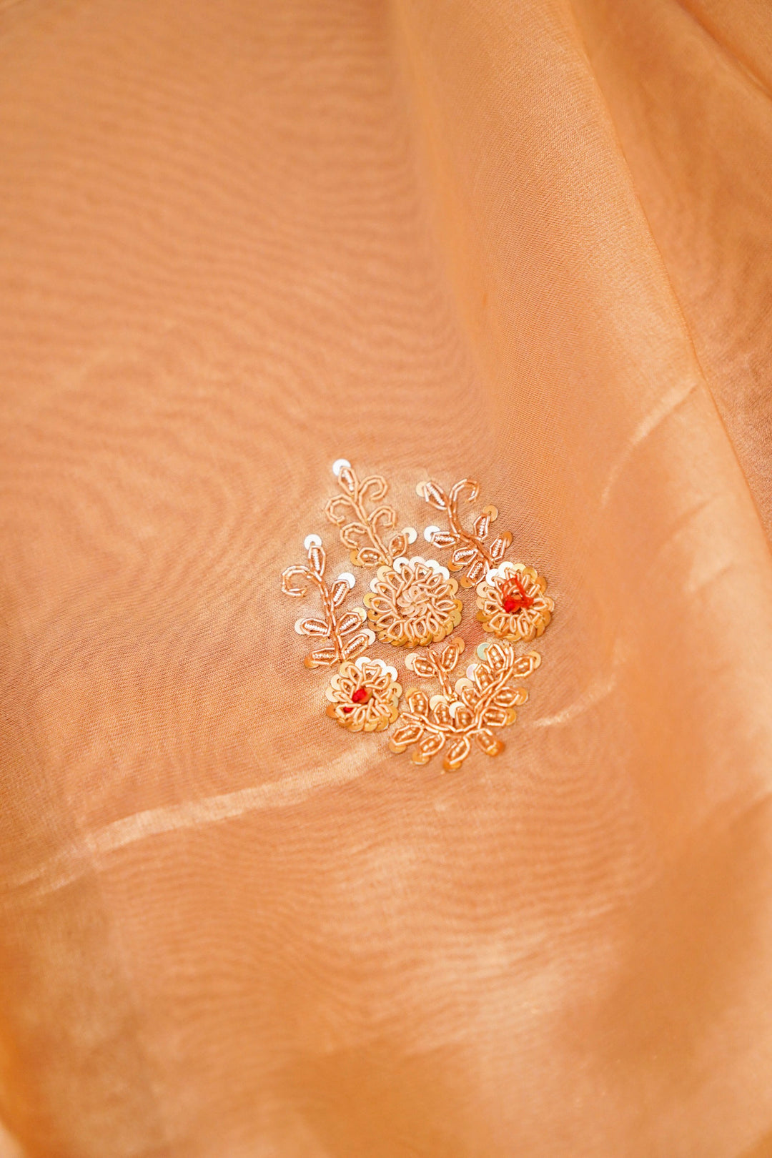 Pure Tissue Silk Zardozi and Hand Embroidery Meenakari Saree by Raas Collection