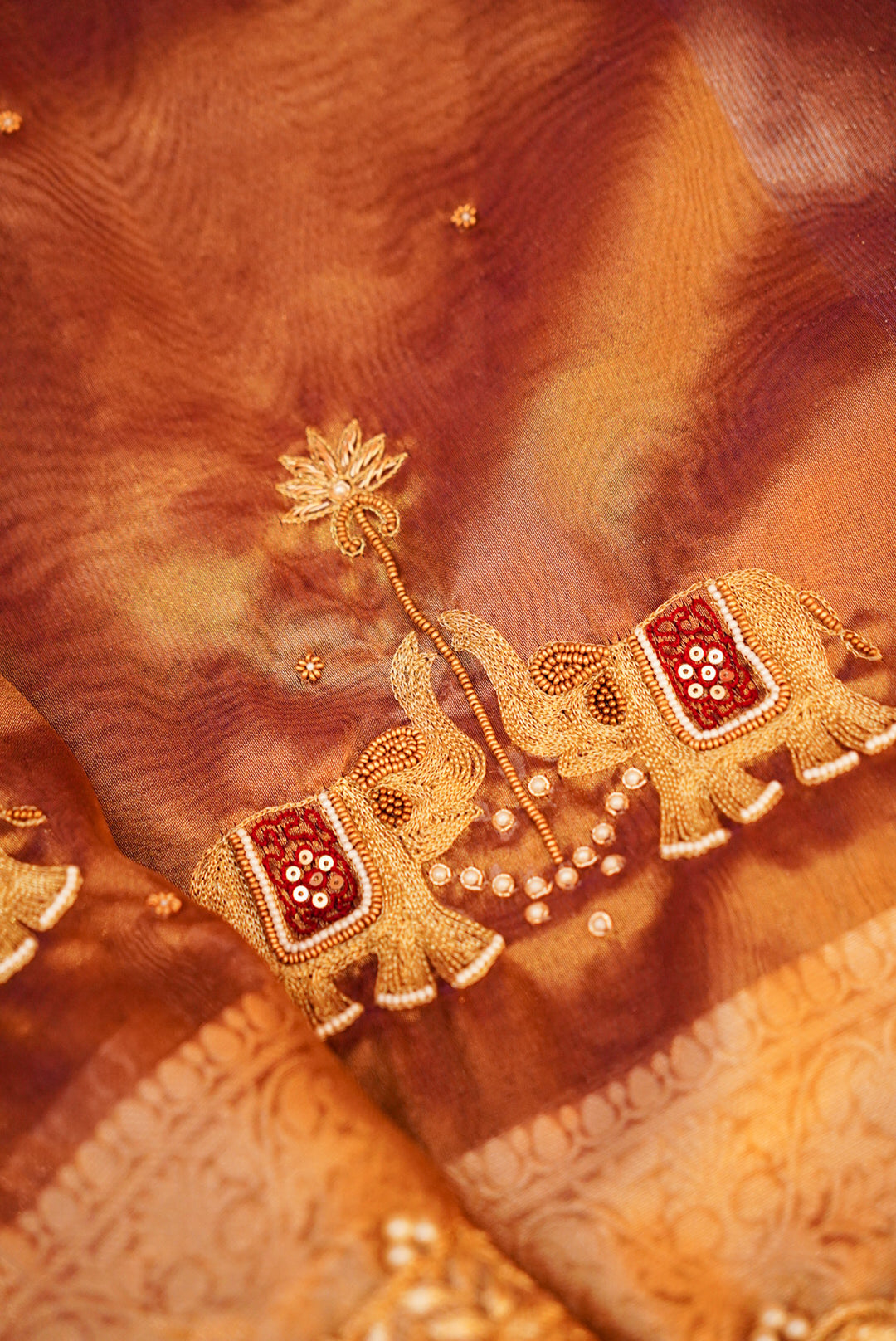 Copper Gold Gajanan Maharani Tissue Saree with Hand Embroidery and Pearl Border