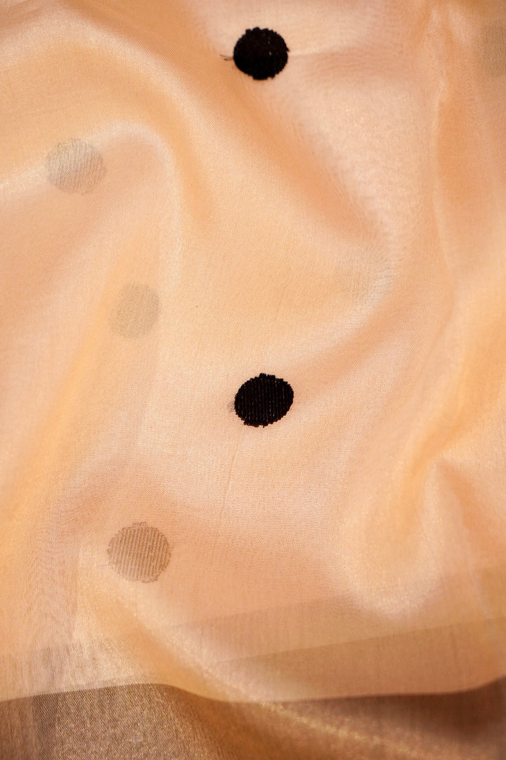 Silver Pure Banarasi Katan Tissue Saree with Black Contemporary Detailing