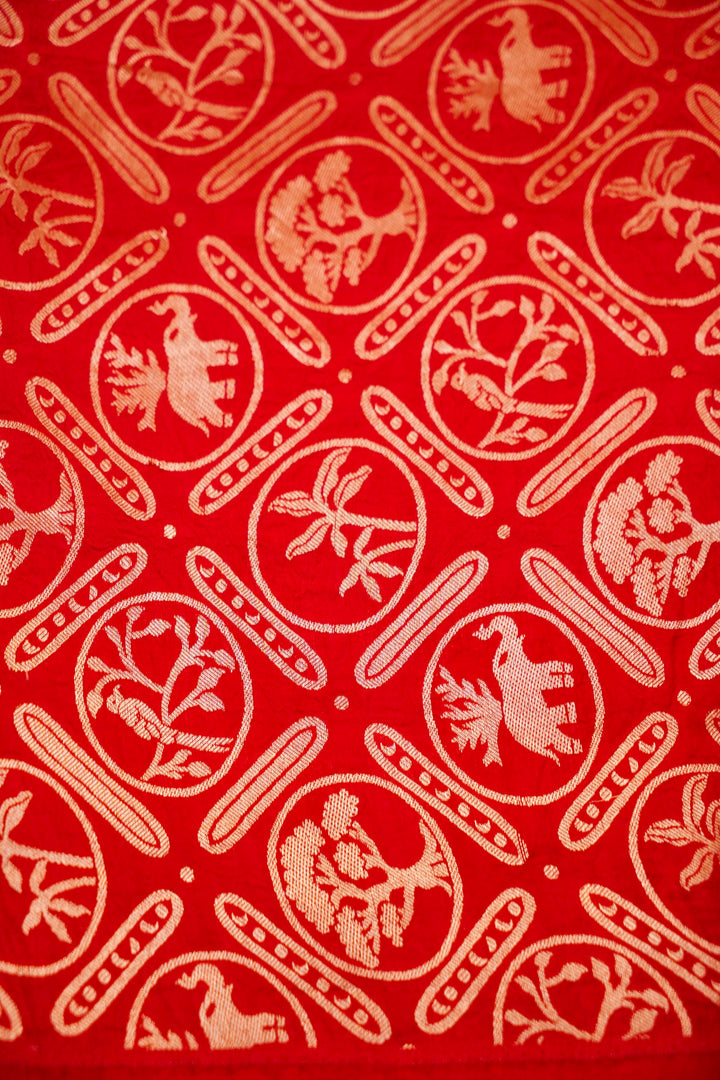 Silver Pure Banarasi Katan Tissue Saree with Contemporary Pink Accents