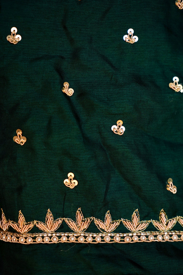 Pure Tissue Silk Saree with Hand Embroidery and Kundan Work