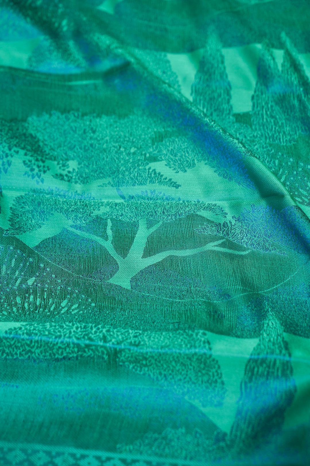 Sage Green Handwoven Pure Banarasi Tanchoi Silk Saree