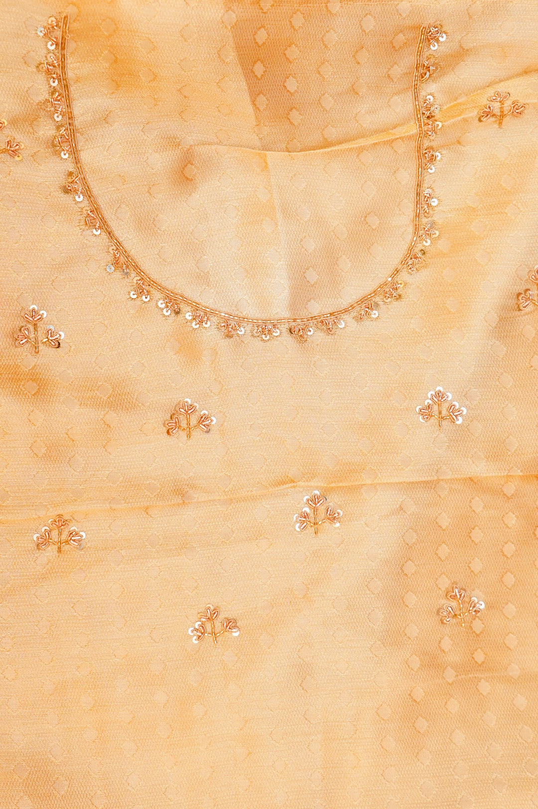 Silver Pure Katan Tissue Saree with Meenakari Zardozi Embroidery