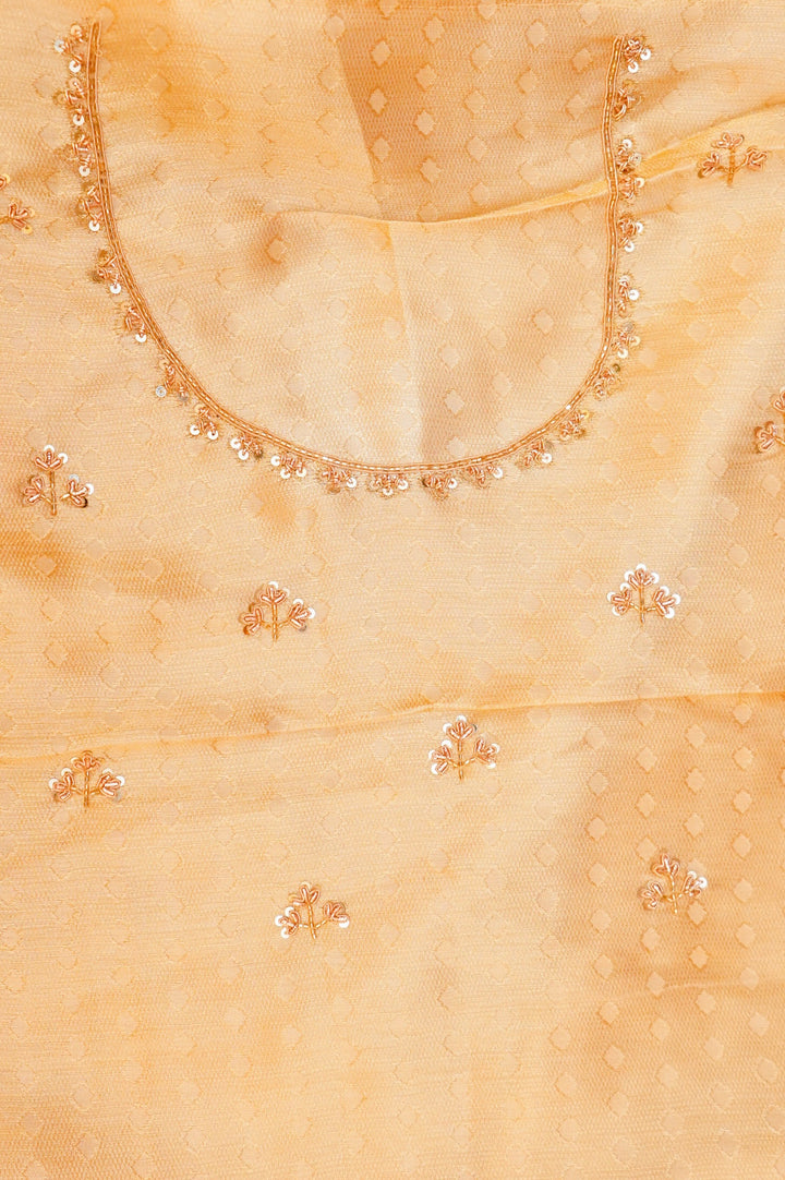 Silver Pure Katan Tissue Saree with Meenakari Zardozi Embroidery