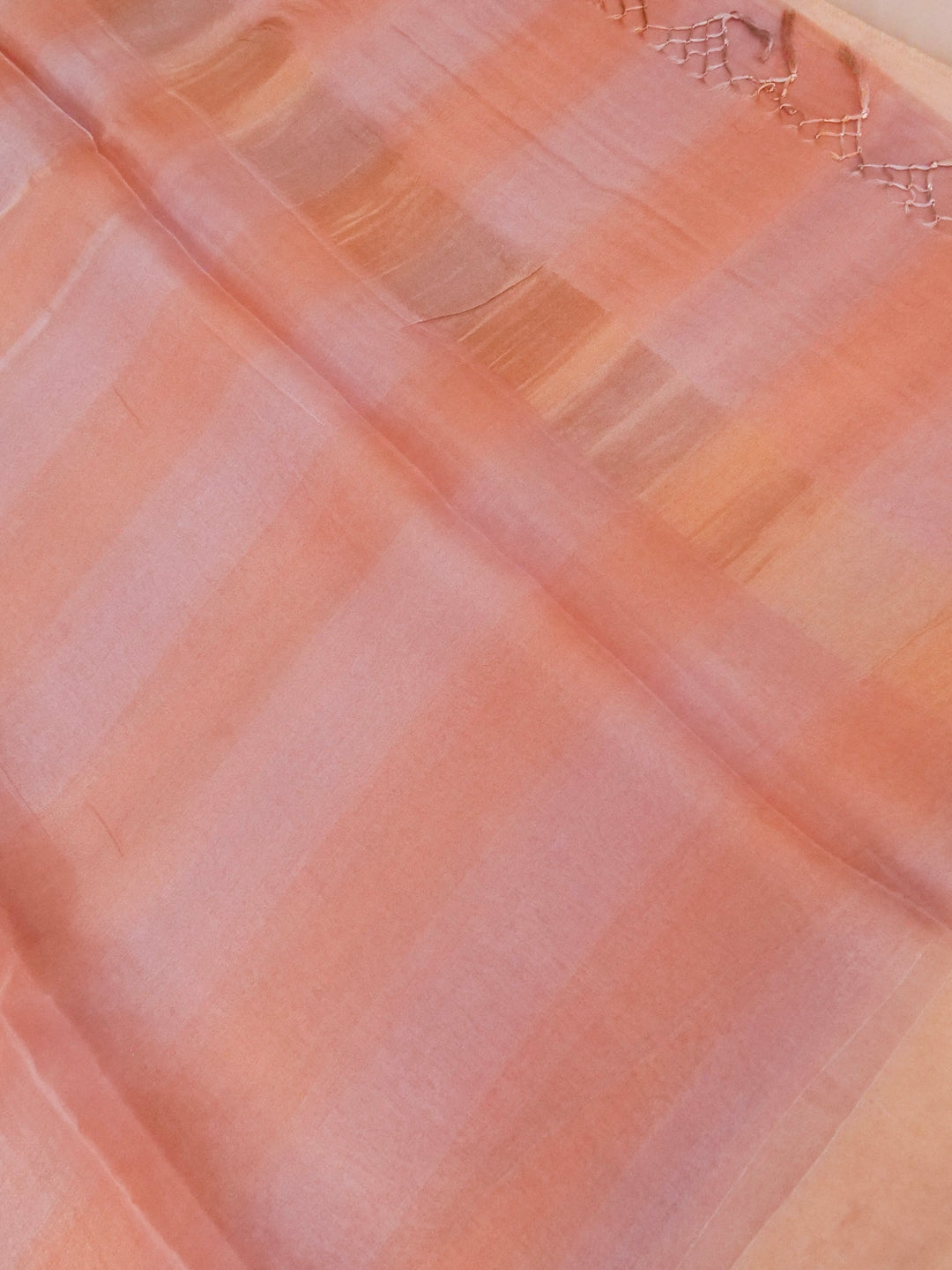 Handwoven Pure Tissue Silk Saree with Resham Hand Embroidered Blouse View 2