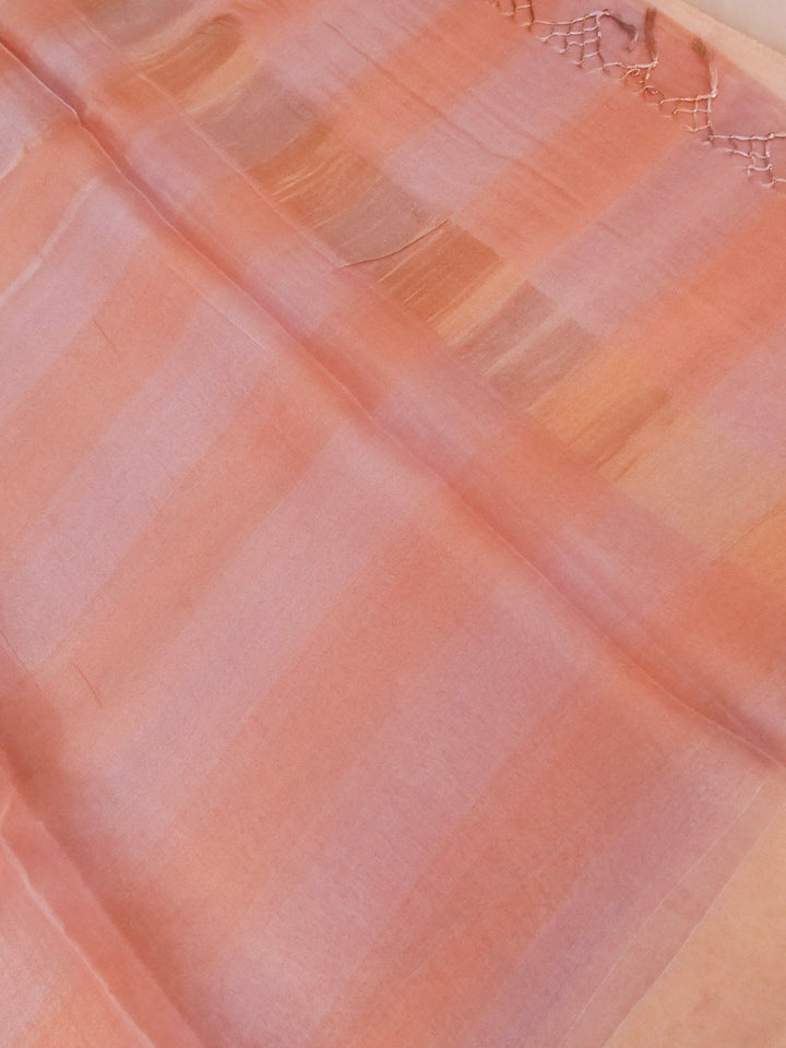 Handwoven Pure Tissue Silk Saree with Resham Hand Embroidered Blouse View 2