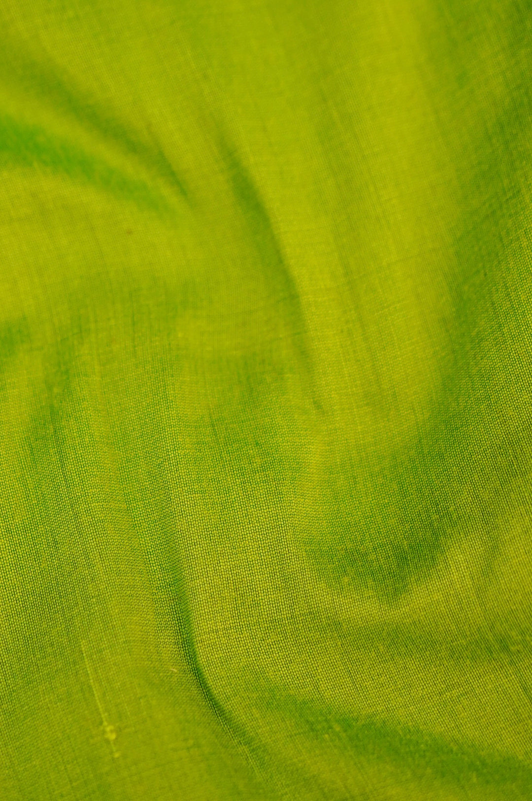 Light Green Banarasi Tissue Silk Saree with Meenakari Jangla Top and Elephant Motif Dupatta