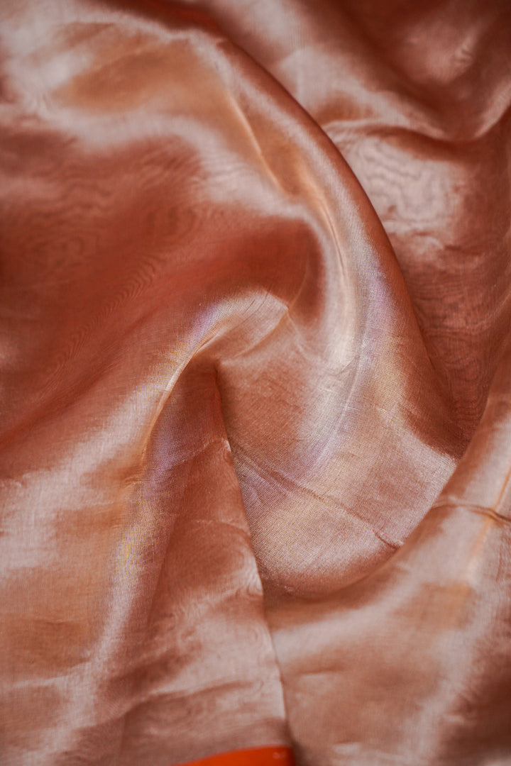 Burnished Rust Banarasi Pure Tissue Silk Saree View 5
