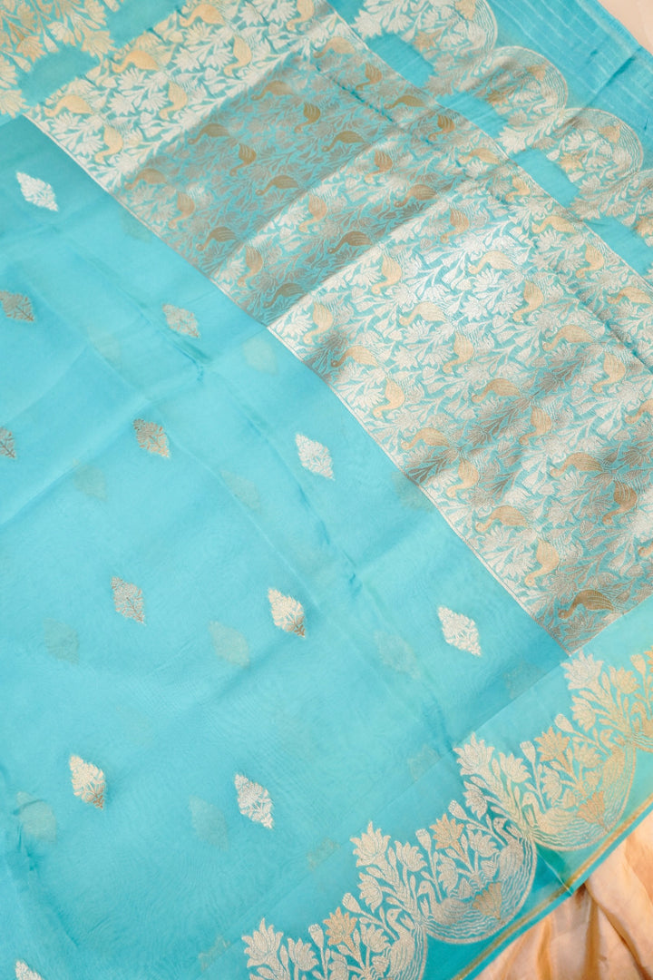Elegant Aqua Blue Muslin Organza Saree with Birds Motif Meenakari Border