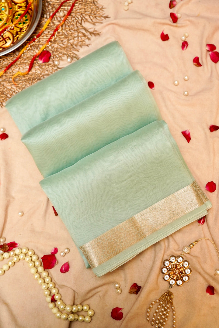 Pastel Green Zari Grace Border Pure Organza Silk Saree Cover View