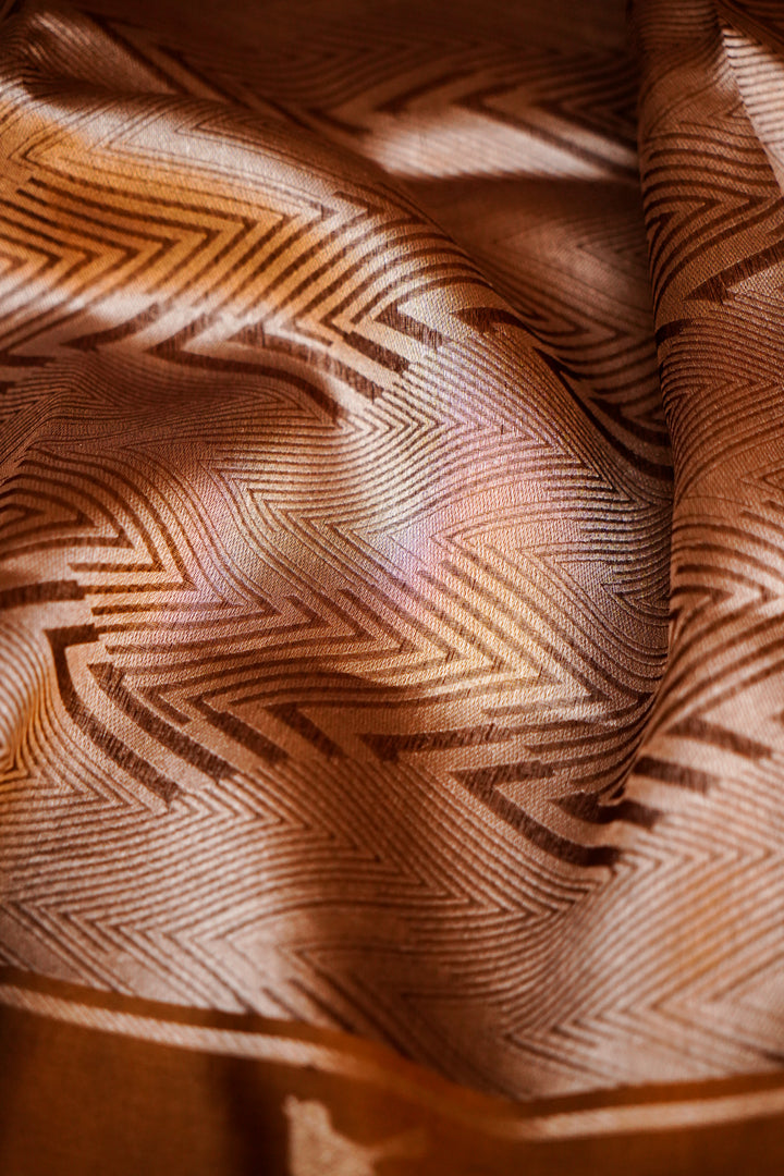 Coffee Brown Handwoven Banarasi Tissue Silk Saree with Silver Zari Zig-Zag Weave & Bird Motif Border