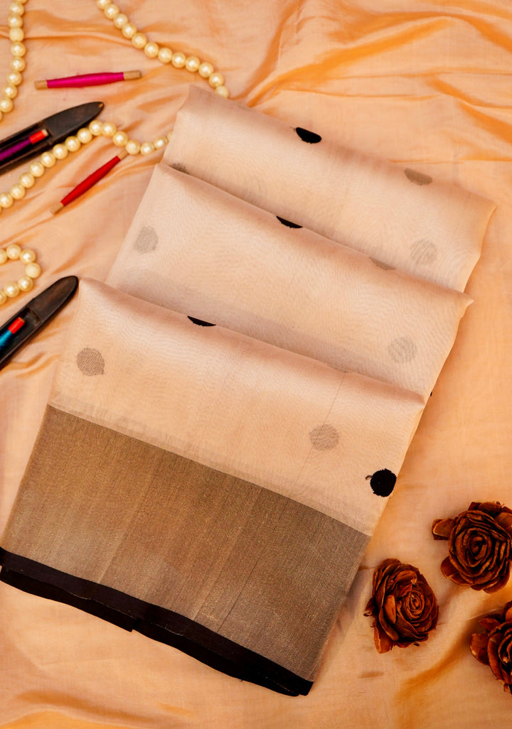 Silver Pure Banarasi Katan Tissue Saree with Black Contemporary Detailing