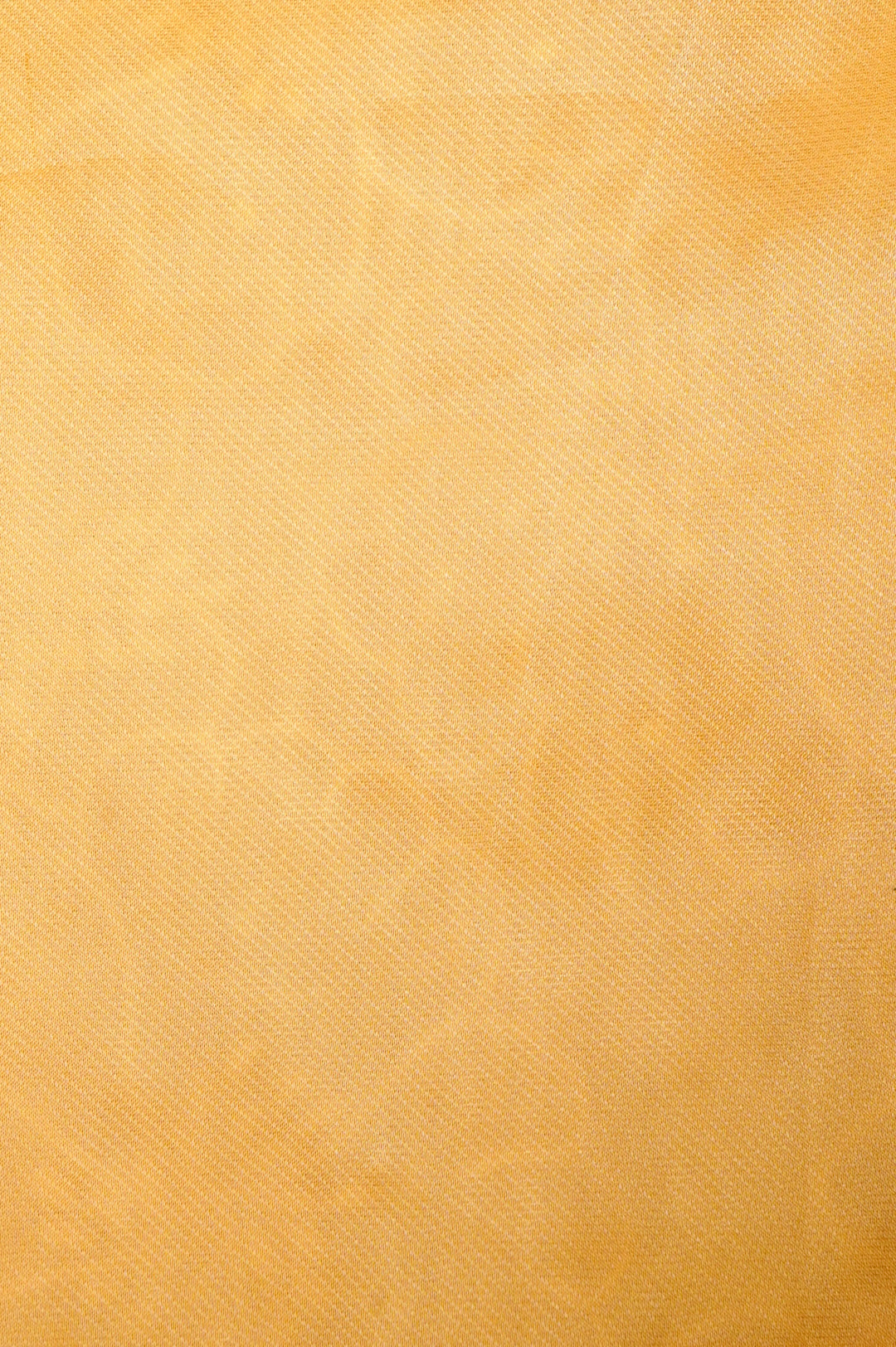 Golden Organza Tissue Saree with Resham & Pearl Embroidery with Tissue Blouse