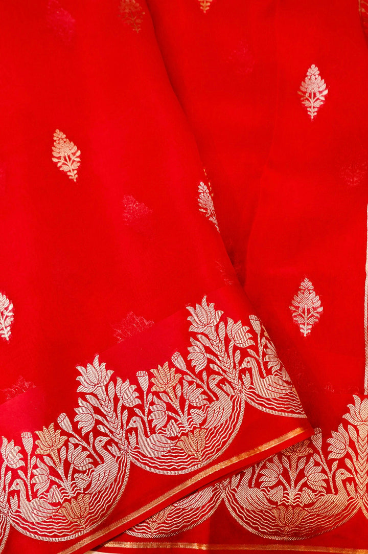 Regal Red Wedding Wear Sonaroopa Muslin Organza Bridal Saree