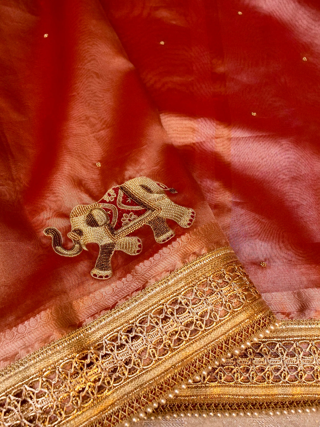Elephant Motifs Banarasi Maharani Tissue Silk Saree with Hand Embroidery