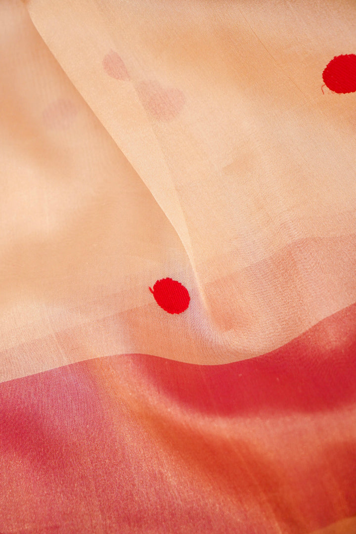 Silver Pure Banarasi Katan Tissue Saree with Contemporary Pink Accents