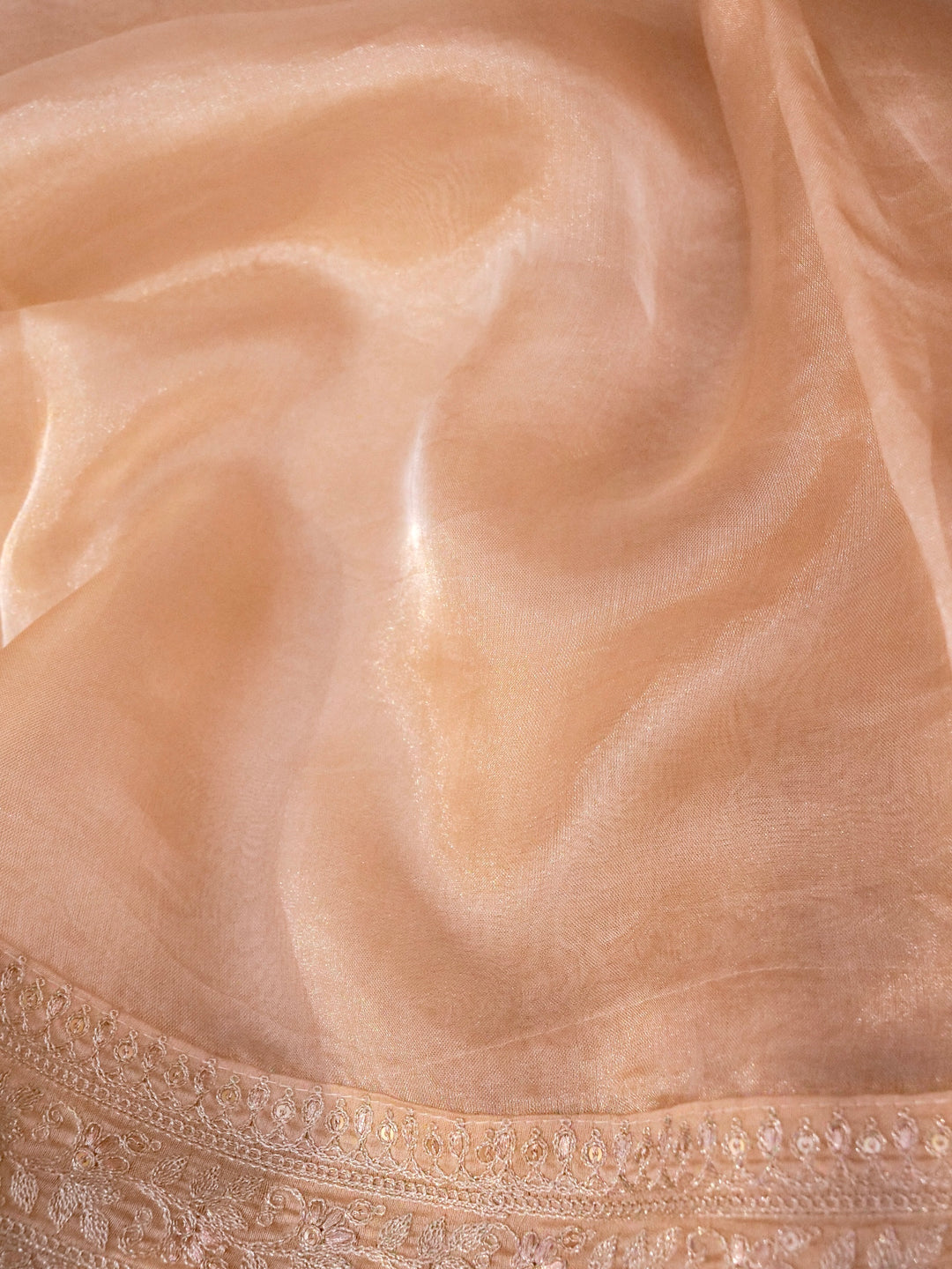 Beige Gold Pure Katan Tissue Saree with Pitta Zari Sequin Border and Heavy Embroidered Georgette Blouse View 4