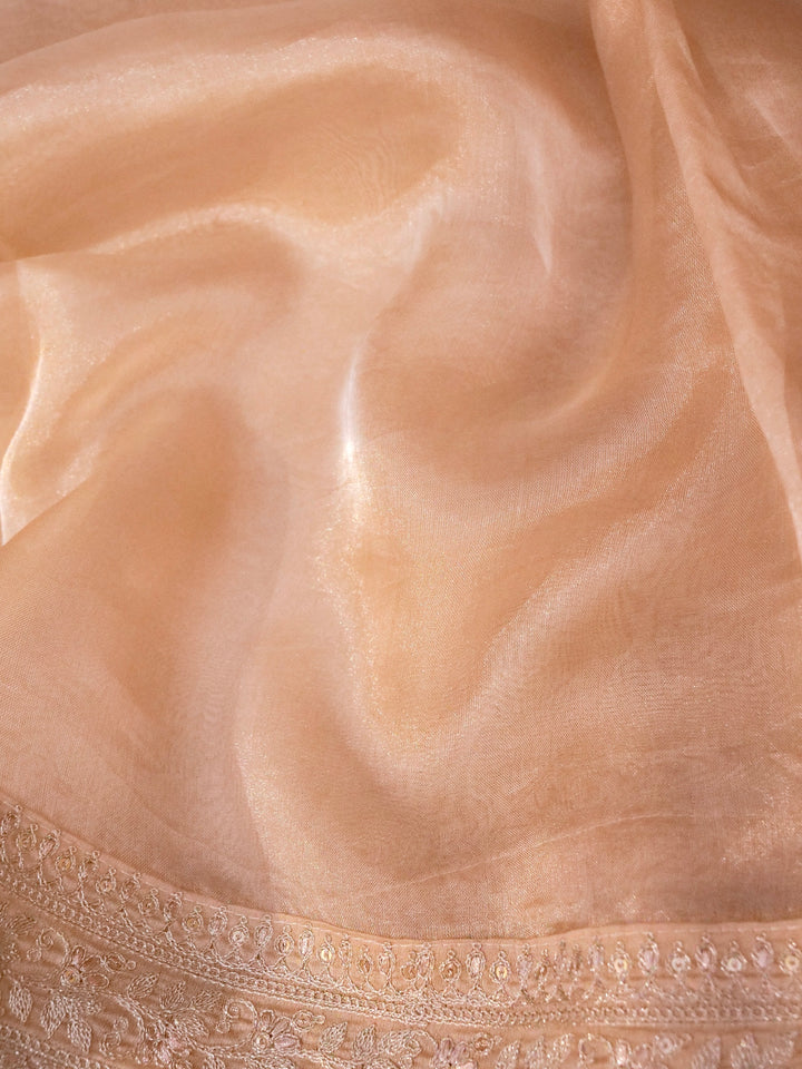 Beige Gold Pure Katan Tissue Saree with Pitta Zari Sequin Border and Heavy Embroidered Georgette Blouse View 4