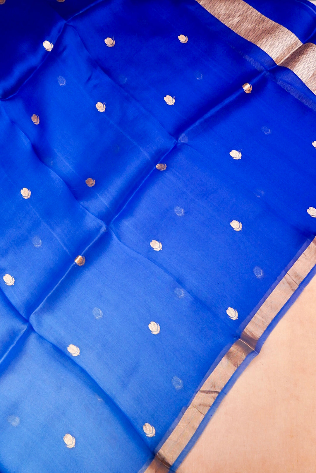 Royal Blue Handloom Raw Silk Suit with Organza Dupatta