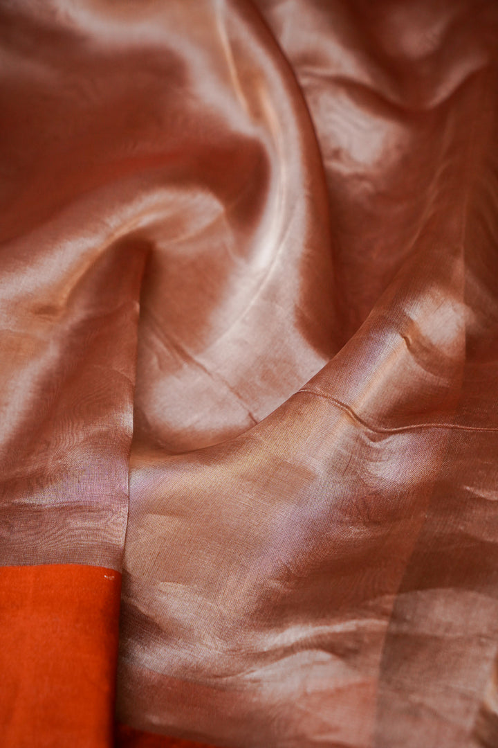 Burnished Rust Banarasi Pure Tissue Silk Saree View 4
