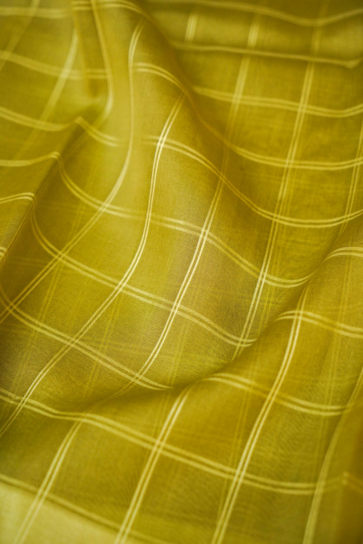 Pista Bloom Pure Organza Silk Check Saree View 4
