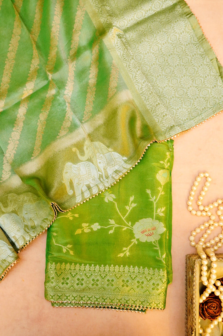 Light Green Banarasi Tissue Silk Saree with Meenakari Jangla Top and Elephant Motif Dupatta