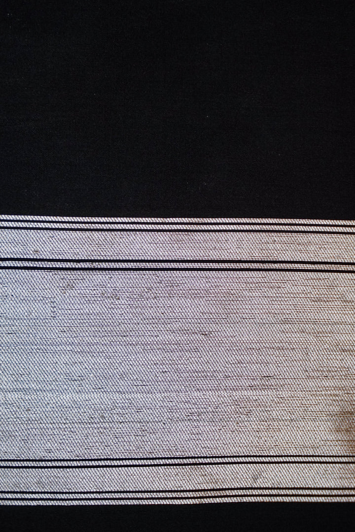 Noir Tricolor Modern Day Banarasi Raw Silk Saree View 6