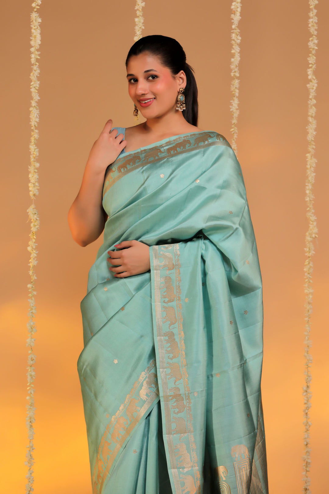 handwoven pastel green banarasi pure mashru silk elephant motif saree front view 1